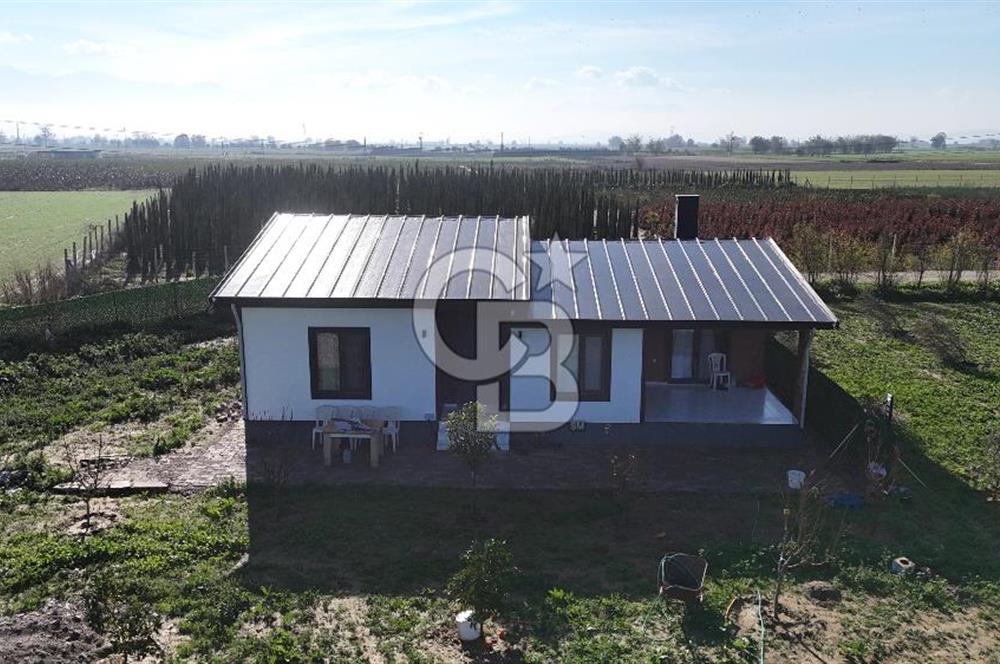 Bayındır 7.119 m² Tarla 107 m² Çelik Ev 250 Zeytin Ağacı 