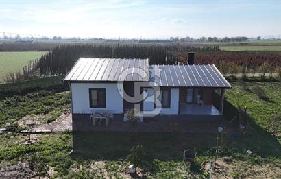 Bayındır 7.119 m² Tarla 107 m² Çelik Ev 250 Zeytin Ağacı 