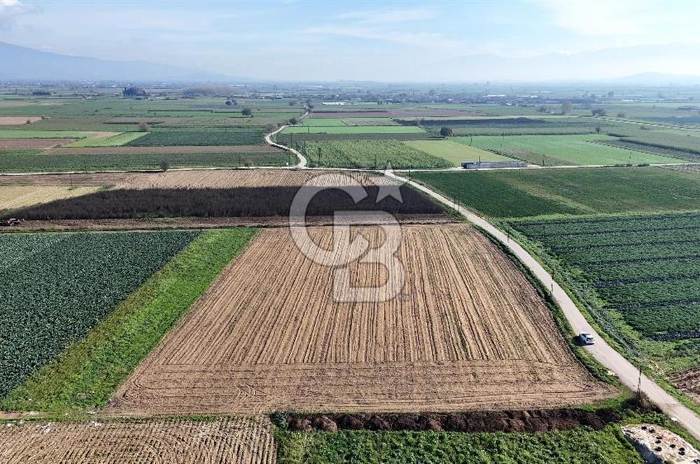 Bayındır Furunlu da 11.483 m2 Satılık Tarla