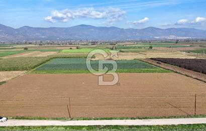 Bayındır Furunlu da 11.483 m2 Satılık Tarla