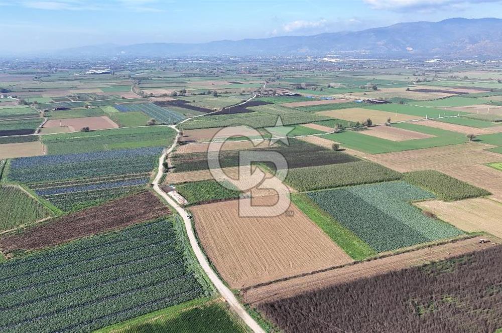 Bayındır Furunlu da 11.483 m2 Satılık Tarla