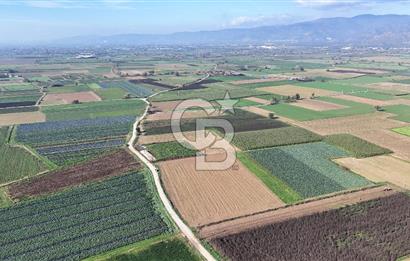 Bayındır Furunlu da 11.483 m2 Satılık Tarla