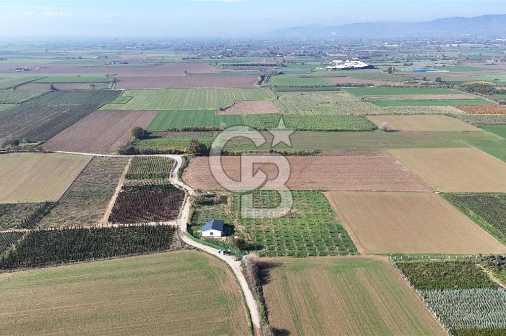 Bayındır 7.119 m² Tarla 107 m² Çelik Ev 250 Zeytin Ağacı 