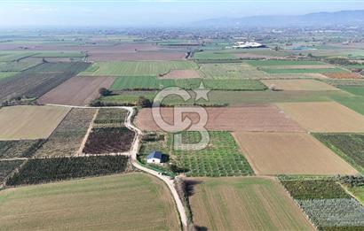 Bayındır 7.119 m² Tarla 107 m² Çelik Ev 250 Zeytin Ağacı 