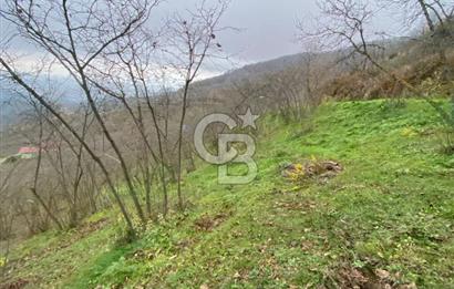 AKÇAKOCA'DA 2000 M2 MÜSTAKİL TAPULU 2 YOLA CEPHE SATILIK ARSA