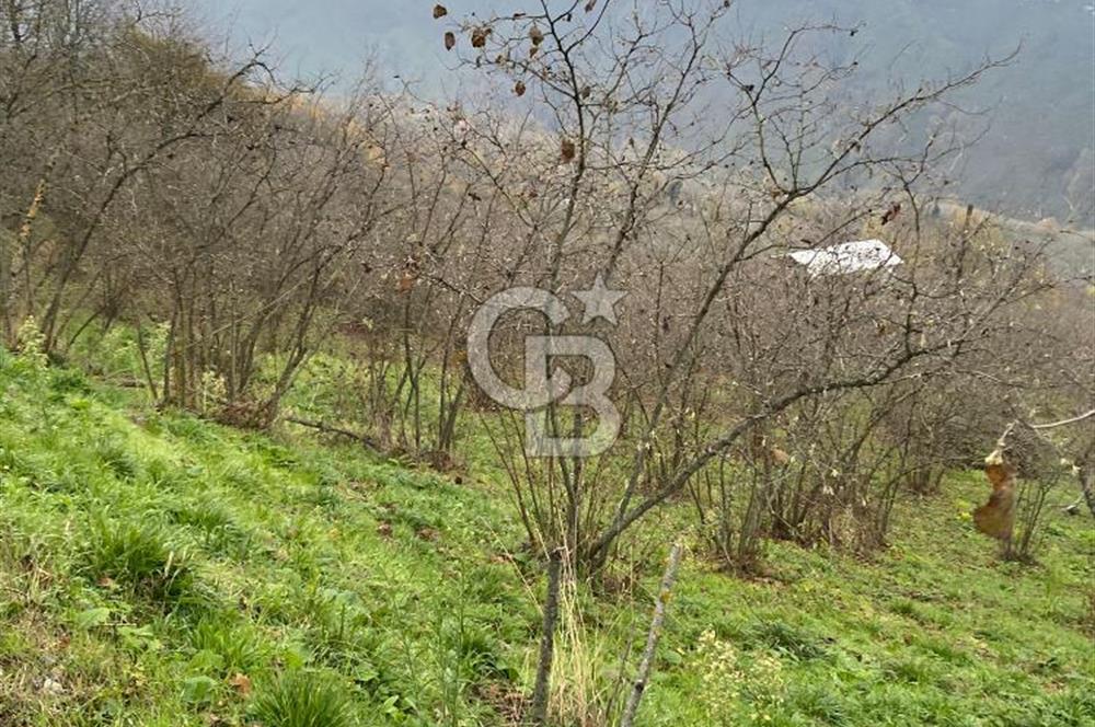 AKÇAKOCA'DA 2000 M2 MÜSTAKİL TAPULU 2 YOLA CEPHE SATILIK ARSA