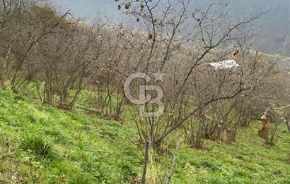 AKÇAKOCA'DA 2000 M2 MÜSTAKİL TAPULU 2 YOLA CEPHE SATILIK ARSA