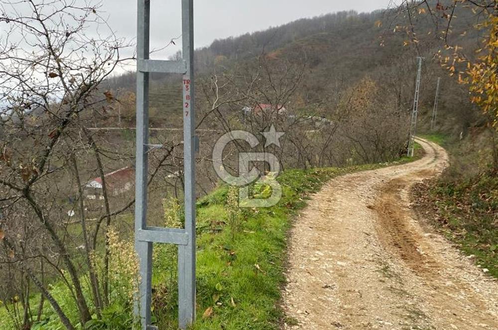 AKÇAKOCA'DA 2000 M2 MÜSTAKİL TAPULU 2 YOLA CEPHE SATILIK ARSA