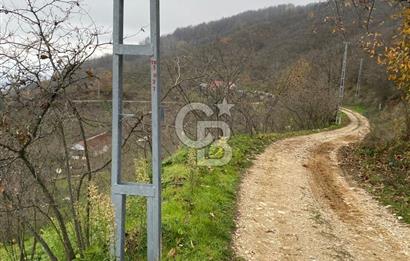 AKÇAKOCA'DA 2000 M2 MÜSTAKİL TAPULU 2 YOLA CEPHE SATILIK ARSA