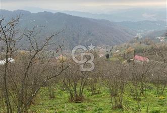 AKÇAKOCA'DA 2000 M2 MÜSTAKİL TAPULU 2 YOLA CEPHE SATILIK ARSA - 1 - 311513