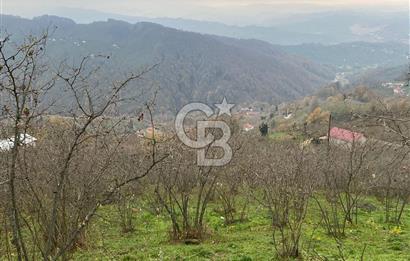 AKÇAKOCA'DA 2000 M2 MÜSTAKİL TAPULU 2 YOLA CEPHE SATILIK ARSA