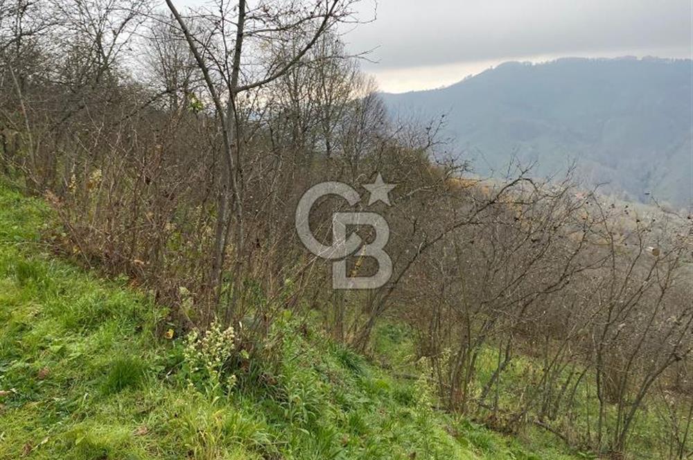 AKÇAKOCA'DA 2000 M2 MÜSTAKİL TAPULU 2 YOLA CEPHE SATILIK ARSA