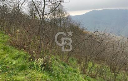 AKÇAKOCA'DA 2000 M2 MÜSTAKİL TAPULU 2 YOLA CEPHE SATILIK ARSA