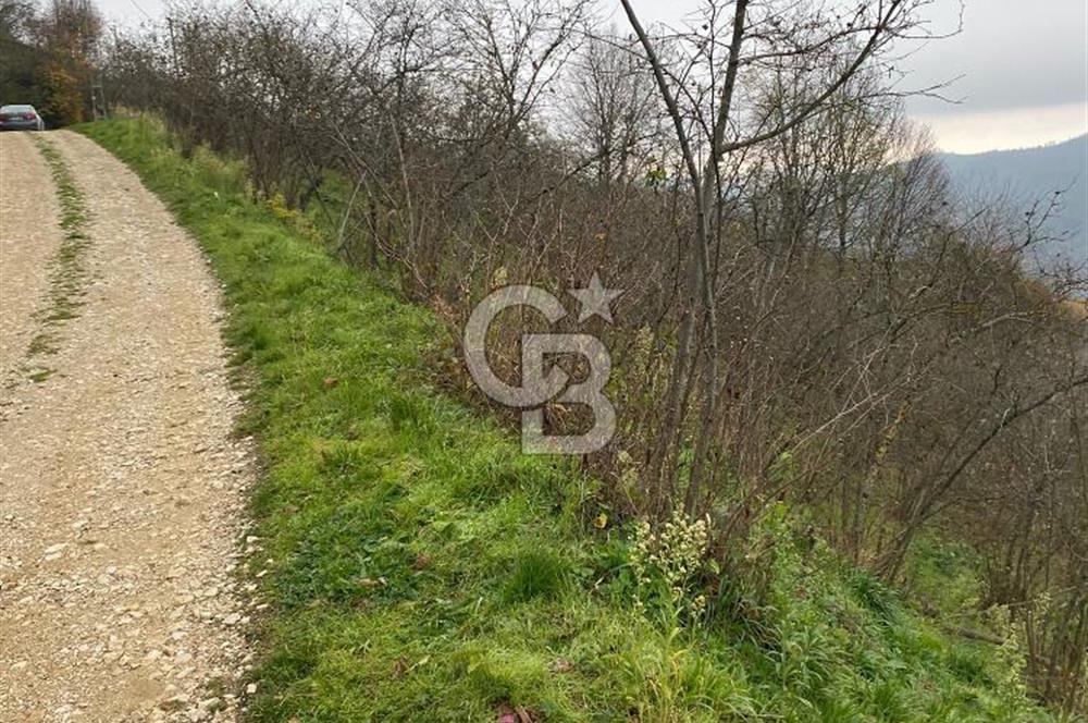 AKÇAKOCA'DA 2000 M2 MÜSTAKİL TAPULU 2 YOLA CEPHE SATILIK ARSA