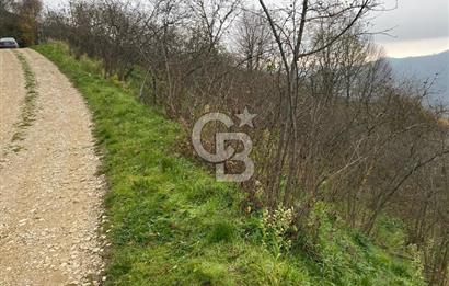 AKÇAKOCA'DA 2000 M2 MÜSTAKİL TAPULU 2 YOLA CEPHE SATILIK ARSA