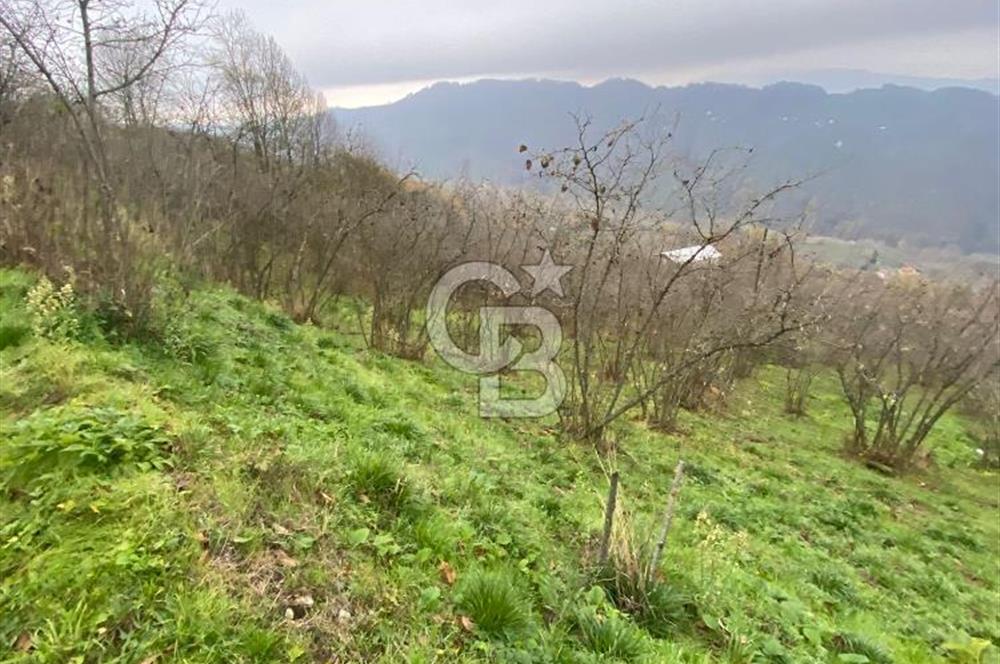 AKÇAKOCA'DA 2000 M2 MÜSTAKİL TAPULU 2 YOLA CEPHE SATILIK ARSA