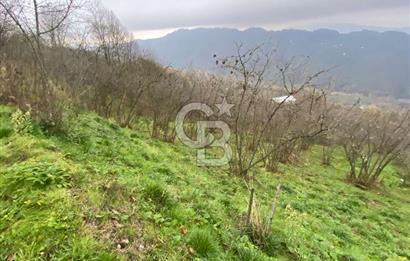 AKÇAKOCA'DA 2000 M2 MÜSTAKİL TAPULU 2 YOLA CEPHE SATILIK ARSA