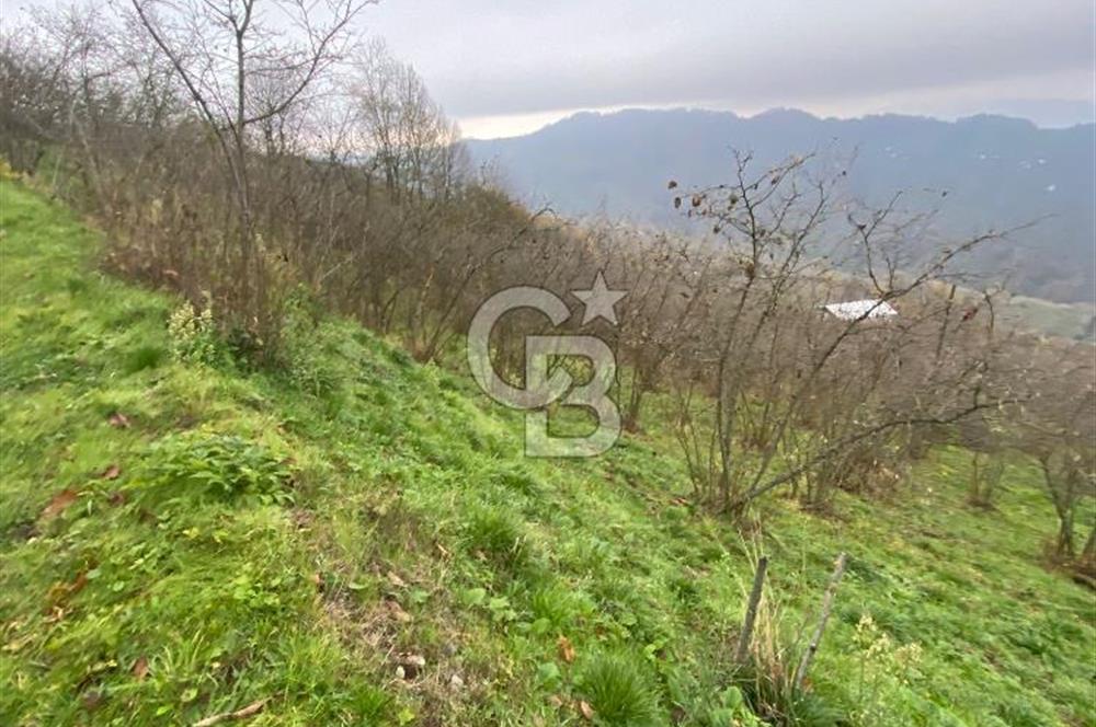 AKÇAKOCA'DA 2000 M2 MÜSTAKİL TAPULU 2 YOLA CEPHE SATILIK ARSA