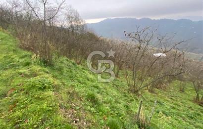 AKÇAKOCA'DA 2000 M2 MÜSTAKİL TAPULU 2 YOLA CEPHE SATILIK ARSA