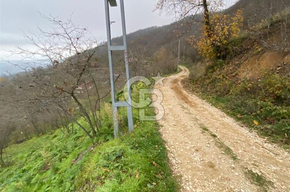 AKÇAKOCA'DA 2000 M2 MÜSTAKİL TAPULU 2 YOLA CEPHE SATILIK ARSA