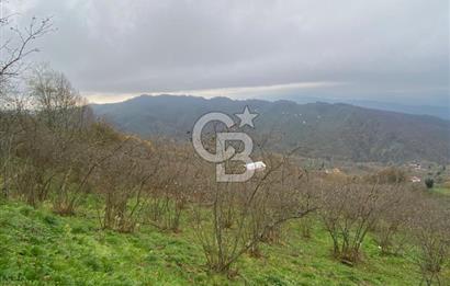 AKÇAKOCA'DA 2000 M2 MÜSTAKİL TAPULU 2 YOLA CEPHE SATILIK ARSA