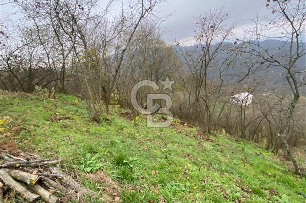 AKÇAKOCA'DA 2000 M2 MÜSTAKİL TAPULU 2 YOLA CEPHE SATILIK ARSA