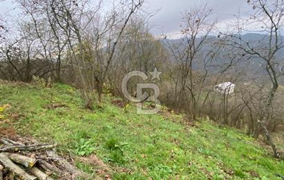 AKÇAKOCA'DA 2000 M2 MÜSTAKİL TAPULU 2 YOLA CEPHE SATILIK ARSA