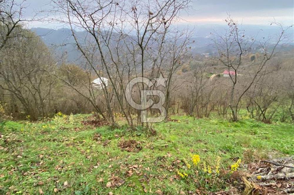 AKÇAKOCA'DA 2000 M2 MÜSTAKİL TAPULU 2 YOLA CEPHE SATILIK ARSA