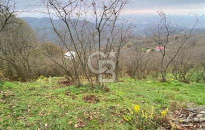 AKÇAKOCA'DA 2000 M2 MÜSTAKİL TAPULU 2 YOLA CEPHE SATILIK ARSA