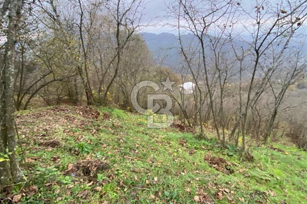 AKÇAKOCA'DA 2000 M2 MÜSTAKİL TAPULU 2 YOLA CEPHE SATILIK ARSA