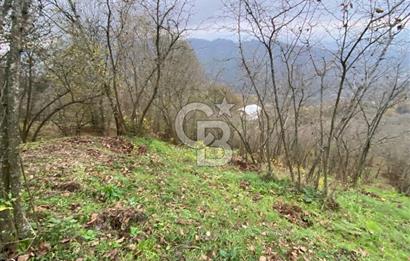 AKÇAKOCA'DA 2000 M2 MÜSTAKİL TAPULU 2 YOLA CEPHE SATILIK ARSA