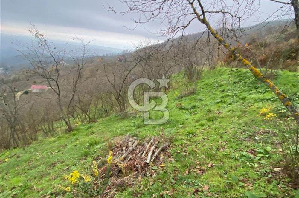 AKÇAKOCA'DA 2000 M2 MÜSTAKİL TAPULU 2 YOLA CEPHE SATILIK ARSA