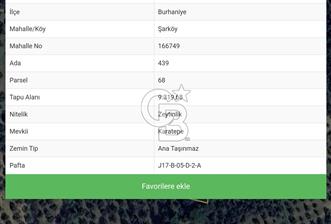 BURHANİYE ŞARKÖY'DE RESMİ YOLLU ZEYTİN AĞAÇLI YATIRIMLIK FIRSAT - 7 - 320815