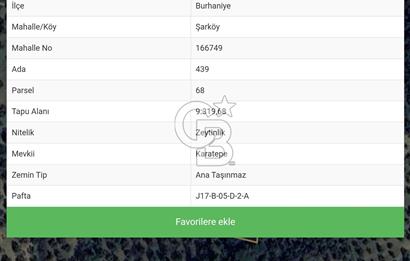 BURHANİYE ŞARKÖY'DE RESMİ YOLLU ZEYTİN AĞAÇLI YATIRIMLIK FIRSAT