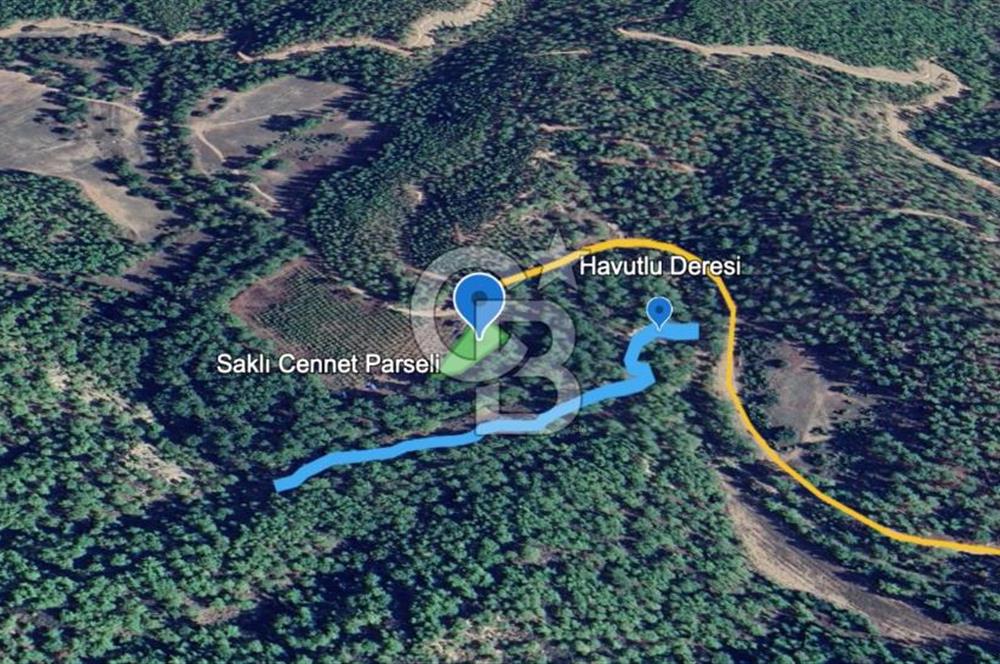 ANTALYA – Serik – Akçapınar | Dere & Orman Temaslı Özel Yaşam Parseli