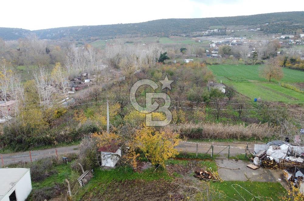 Gebze Tavşanlı Mah.de Yatırıma Uygun Yola Cephe Satılık Parsel