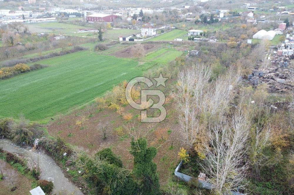 Gebze Tavşanlı Mah.de Yatırıma Uygun Yola Cephe Satılık Parsel