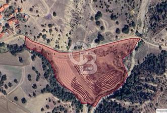 UŞAK MERKEZ, ZAHMAN KÖYÜNDE 25.060m² SATILIK TARLA - 2 - 320812