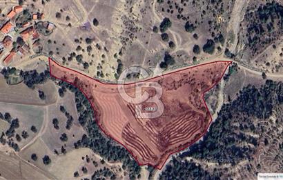 UŞAK MERKEZ, ZAHMAN KÖYÜNDE 25.060m² SATILIK TARLA