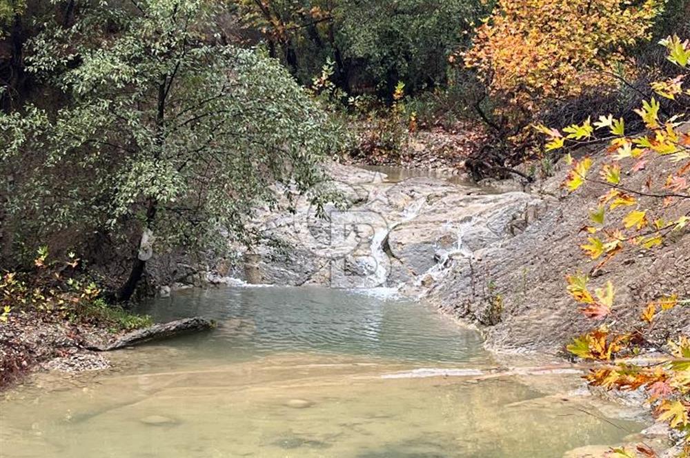 ANTALYA – Serik – Akçapınar | Dere & Orman Temaslı Özel Yaşam Parseli