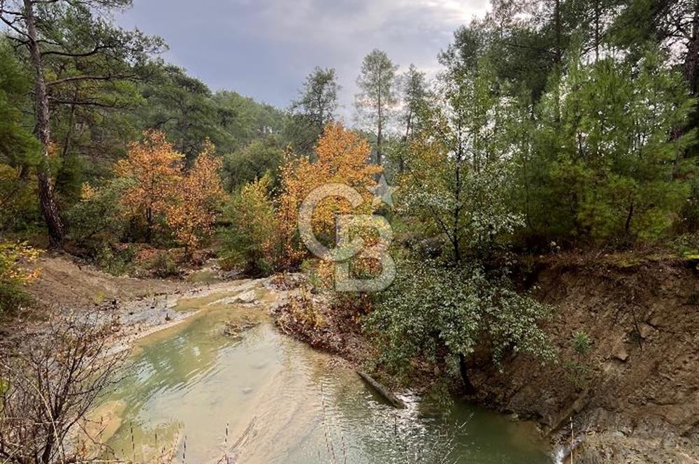 ANTALYA – Serik – Akçapınar | Dere & Orman Temaslı Özel Yaşam Parseli