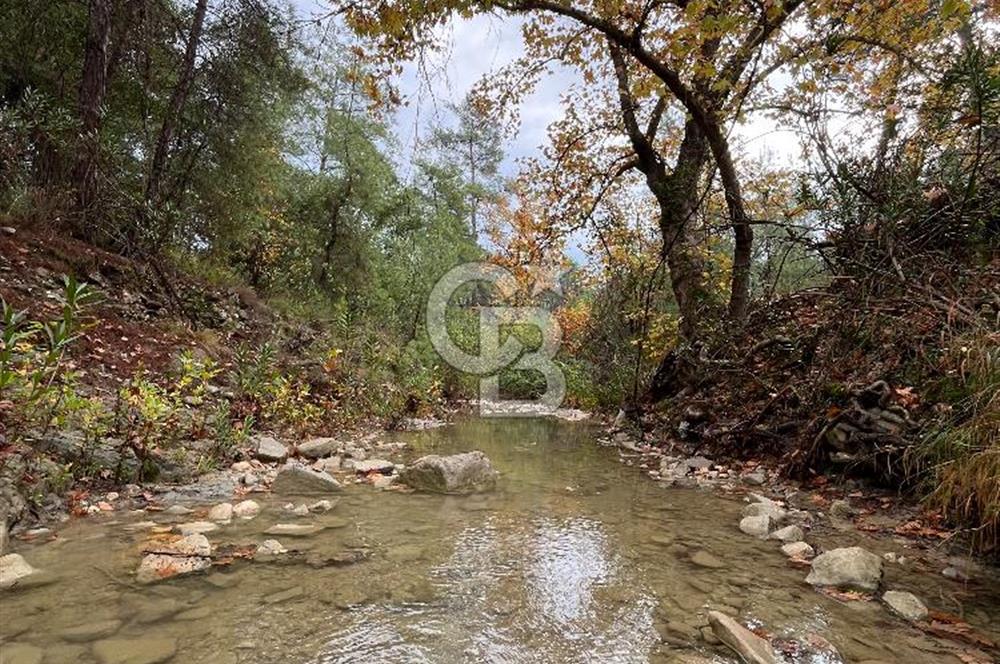 ANTALYA – Serik – Akçapınar | Dere & Orman Temaslı Özel Yaşam Parseli