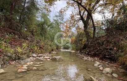 ANTALYA – Serik – Akçapınar | Dere & Orman Temaslı Özel Yaşam Parseli