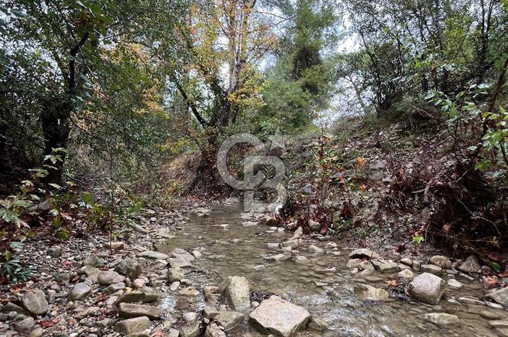 ANTALYA – Serik – Akçapınar | Dere & Orman Temaslı Özel Yaşam Parseli
