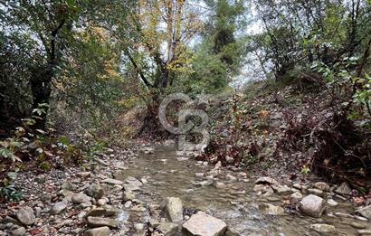 ANTALYA – Serik – Akçapınar | Dere & Orman Temaslı Özel Yaşam Parseli