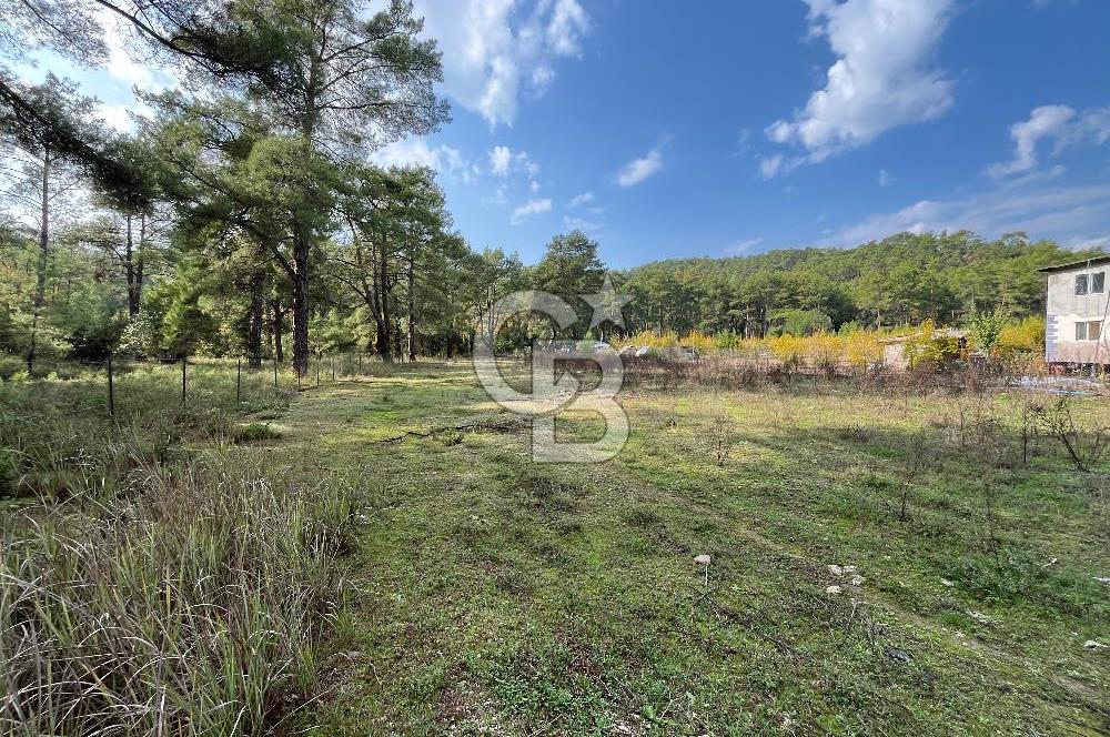 ANTALYA – Serik – Akçapınar | Dere & Orman Temaslı Özel Yaşam Parseli