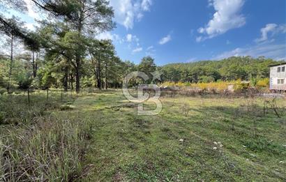 ANTALYA – Serik – Akçapınar | Dere & Orman Temaslı Özel Yaşam Parseli