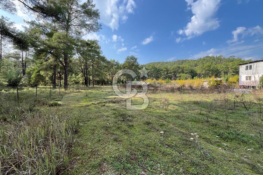 ANTALYA – Serik – Akçapınar | Dere & Orman Temaslı Özel Yaşam Parseli