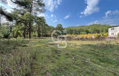 ANTALYA – Serik – Akçapınar | Dere & Orman Temaslı Özel Yaşam Parseli