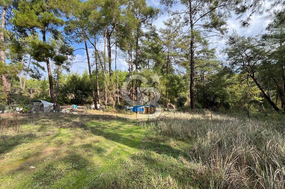 ANTALYA – Serik – Akçapınar | Dere & Orman Temaslı Özel Yaşam Parseli